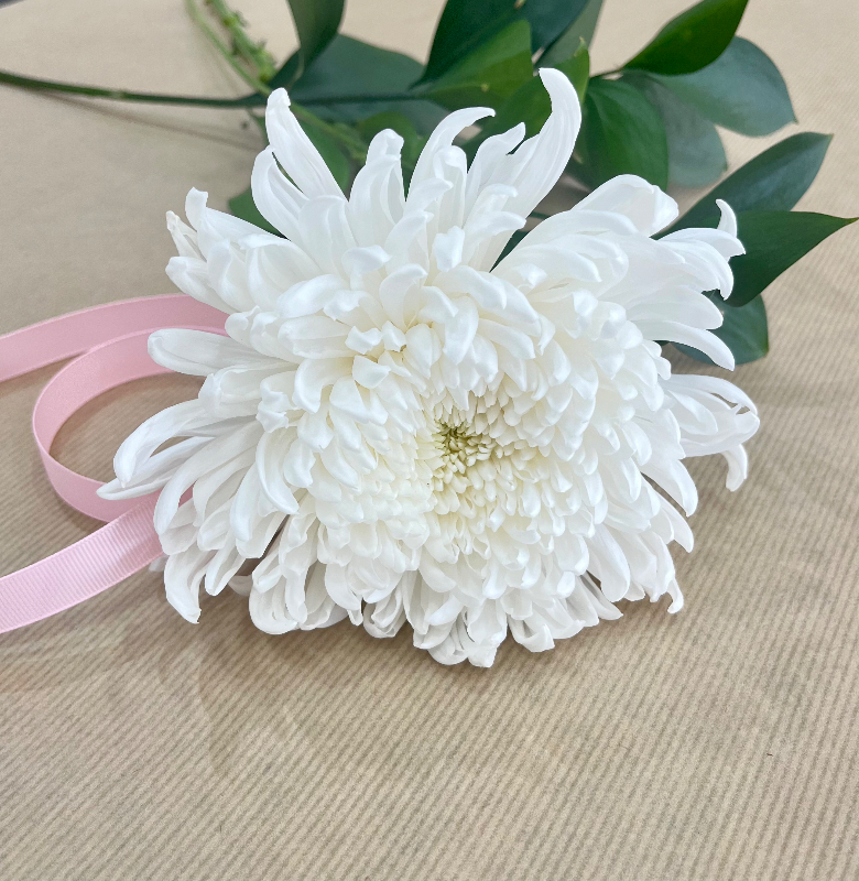 White chrysanthemum