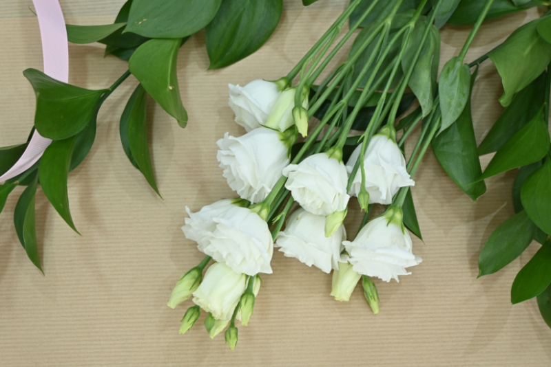 White lisianthus